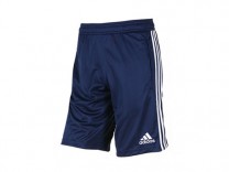 아디다스 콘디 14 트레이닝 쇼트 (F76987)