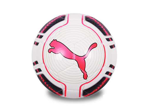 푸마 에보파워 6 트레이너 MS 볼(08223115)