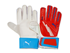 푸마 evoSPEED 5 GK글러브(607)