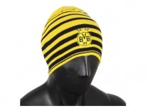 푸마 도르트문트 퍼포먼스 비니(74703001)